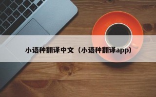 小语种翻译中文（小语种翻译app）