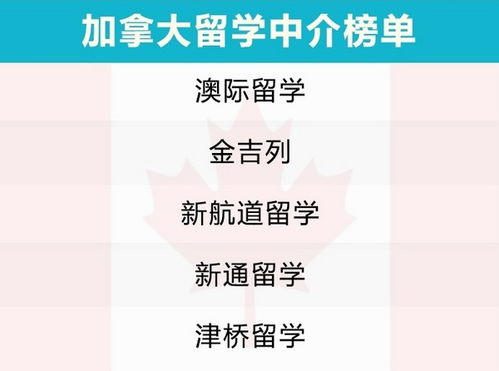 赴德德国留学中介_德国留学中介最佳方案