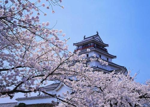 韩国留学好还是日本留学好_韩国留学与日本留学比较